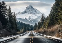 product-compare-59354851