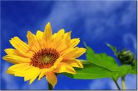 product-compare-58693720