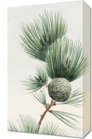 Obraz 30x50cm Gayo Matsu Pine, Morikaga Japoński Vintage