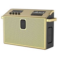 2X MONDO BY DEFUNC BT SPEAKER LARGE PRZENOŚNY GŁOŚNIK BLUETOOTH 5.3 BRASS