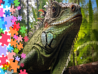 Puzzle tradycyjne Zwierzęta - Jaszczurka