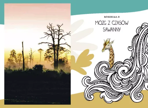 Twój SuperMózg na Arena.pl