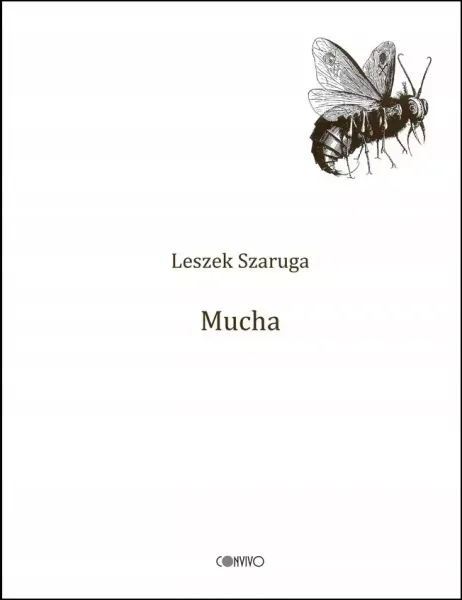 Mucha zdjęcie 1