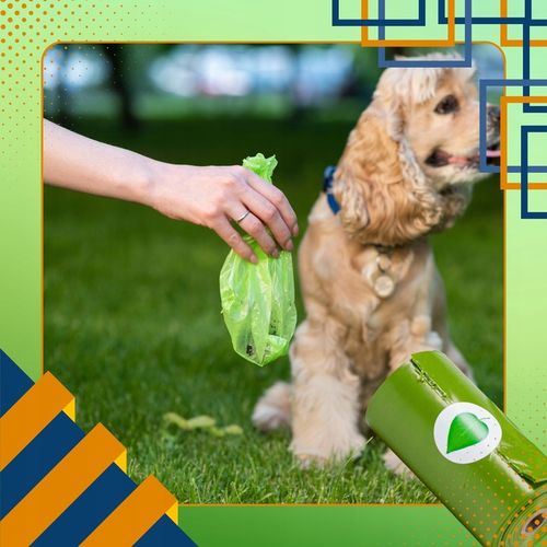 WORECZKI BIODEGRADOWALNE NA PSIE ODCHODY BIO WORKI NA KUPY PSA 360 SZT ETUI na Arena.pl