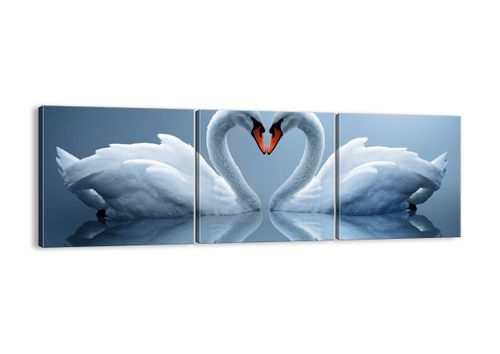 Obraz Na Płótnie - Łabędzie Serce  - 90X30 Cm - Ca90X30-3541 na Arena.pl