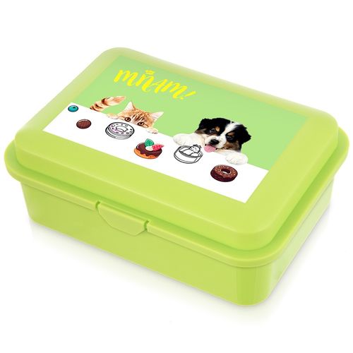 Pojemnik Śniadaniowy Lunchbox Śniadaniówka Pudełko Szkolne na Śniadanie na Arena.pl