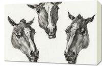 Obraz 60x40cm Trzy Głowy Koni, Jean Bernard Vintage do Salonu