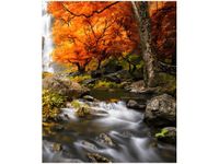 product-compare-58656795