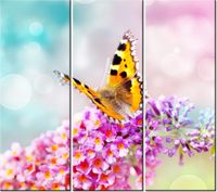 90CM 80 OBRAZ 3 ELEM MOTYL KWIATKACH ŚCIENNY