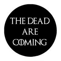 Przypinka Gra o tron