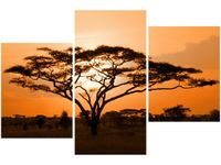 product-compare-58699542