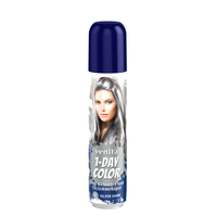 VENITA 1- Day Color Spray nr6 Silver Shine srebrny