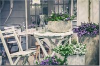 product-compare-58694801