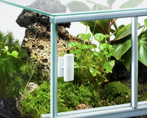 Diversa Terrarium 30x25x25 na Arena.pl