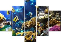 70 100CM OBRAZ 5 ELEM RAFA KORALOWA DRUK PŁÓTNO