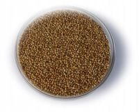 Proso żółte 25 kg