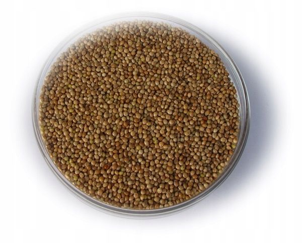 Proso żółte 25 kg zdjęcie 1