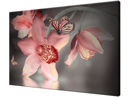 Obraz drukowany na płótnie canvas 120x80 + GRATIS na Arena.pl