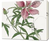 Obraz 70x60cm Kwiat Ilustracja Morimoto Toko Japoński Vintage do Salonu