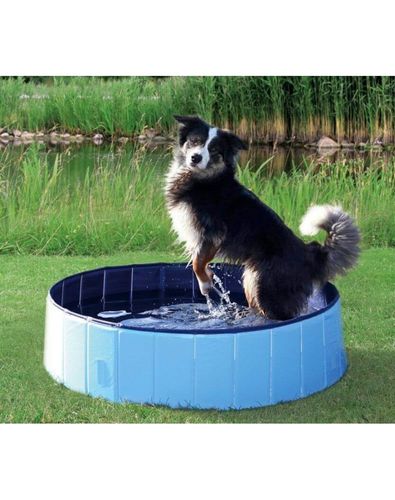 basen dla psa 80x20cm na Arena.pl