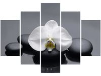 105CM 150CM OBRAZ 5 ELEM BIAŁY STORCZYK DRUK