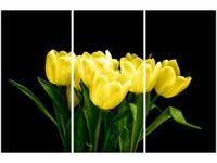 60 90CM OBRAZ 3 ELEM ŻÓŁTE TULIPANY- MARK FREETH DRUK PŁÓTNO RAMA