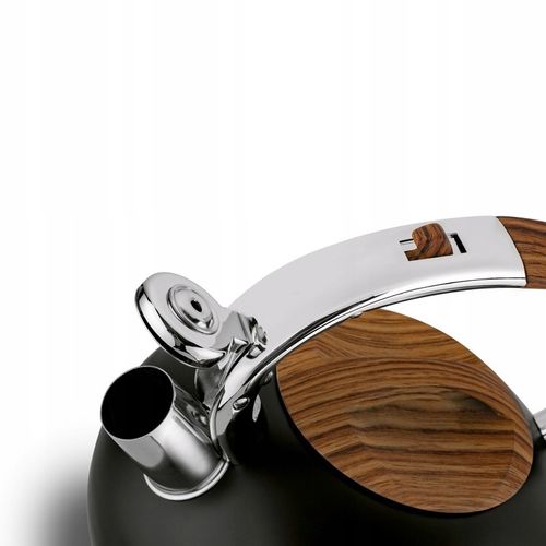 Energooszczędny CZAJNIK INDUKCJA z GWIZDKIEM czajnik NA GAZ 2,5L Douglas na Arena.pl