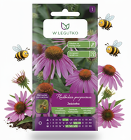 LEGUTKO NASIONA JEŻÓWKA RUDBEKIA PURPUROWA RÓŻOWA RAJ DLA PSZCZÓŁ ZAPYLACZY