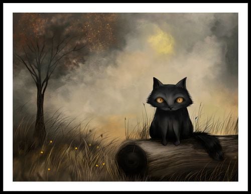 Plakat 80x60cm Czarny Kot na Arena.pl