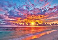 product-compare-62139394