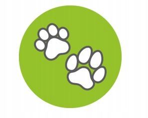 OLEJ Z ŁOSOSIA dla psów i kotów NOMAK, kwasy EPA i DHA, sierść, 250 ml na Arena.pl