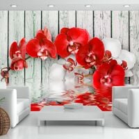 product-compare-63633777
