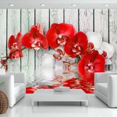Fototapeta - Rubinowa orchidea 350x245