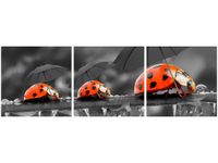 90X30CM SPACEREK TRÓJ OBRAZ