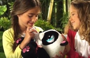 YOYO PANDA INTERAKTYWNA na Arena.pl