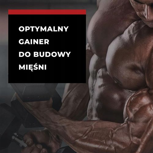 Weider Mega Mass 2000 2.7 kg Czekolada | Mass Gainer na Arena.pl