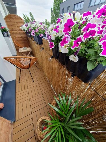 Mata trzcinowa 180 x 600 cm Maty trzcinowe 1.8 x 6 na Arena.pl