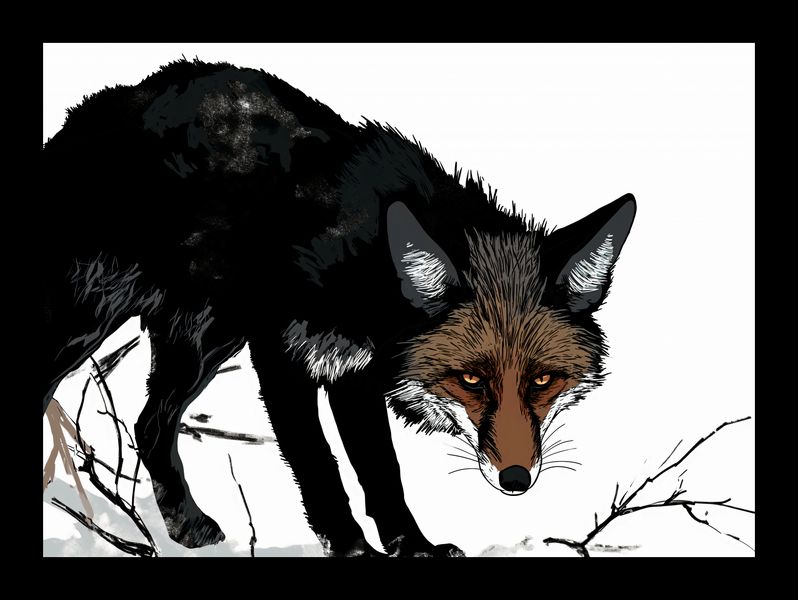 Plakat 18x13cm Nieufny Lis zdjęcie 2