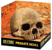 EXO TERRA Skull Czaszka ludzka duża kryjówka ozdoba dekoracja terrarium 15c