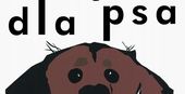 ENCYKLOPEDIA DLA DZIECKA KSIĄŻKA PSÓW PSY LITERATURA KSIĘGA PEŁNA ZABAWY