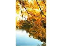 product-compare-58649396