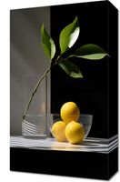 Obraz 30x50cm Cytrusowa Aranżacja
