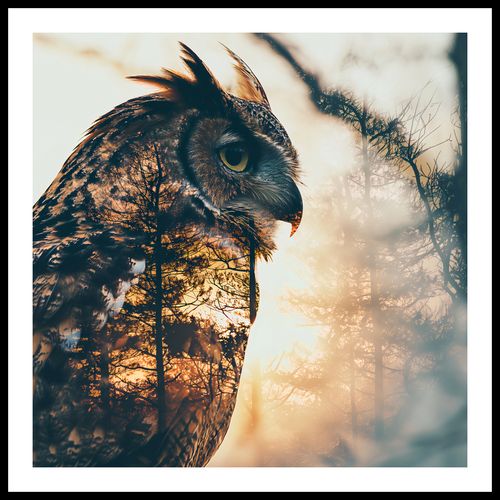 Plakat 80x80cm Sowi Duch na Arena.pl