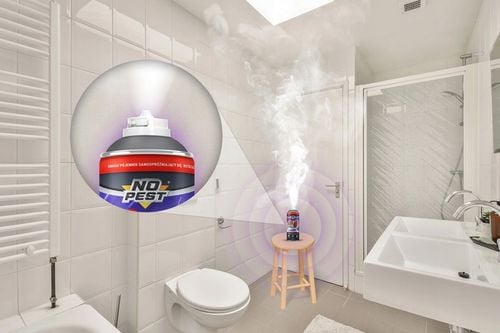 SILNY ŚRODEK SPRAY PREPARAT BOMBA FOGGER NA PAJĄKI PAJĘCZYNY NO PEST ZESTAW na Arena.pl