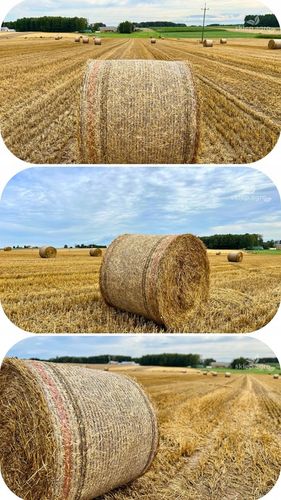 Siatka do bel POWER NET 123x2000m TURBO MOCNA do słomy, siana, kiszonki na Arena.pl