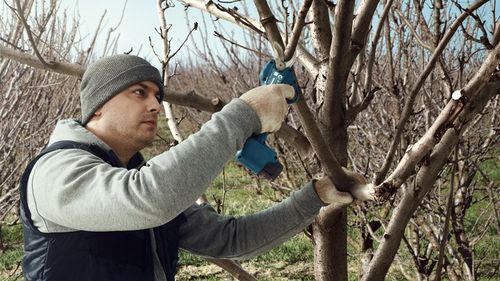 AKUMULATOROWY SEKATOR PRO PRUNER BOSCH KORPUS na Arena.pl