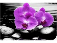 60X40CM OSTOJA PIĘKNA OBRAZ