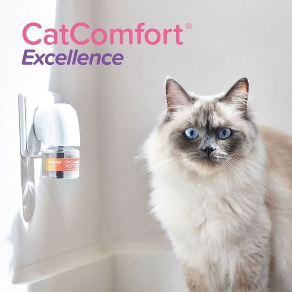 Beaphar Wkład do dyfuzora Cat Comfort dla kota zdjęcie 6
