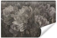 Fototapeta Ścienna Abstrakcja Malowane PIWONIE Peonie Kwiaty 400cm x 280cm
