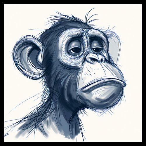 Plakat 50x50cm Zaduma na Arena.pl